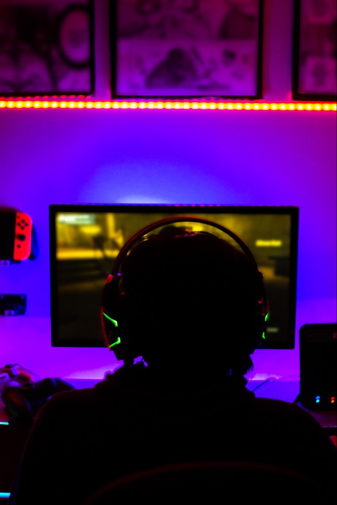 Game Server Hosting with DDoS Protection: What to Look For